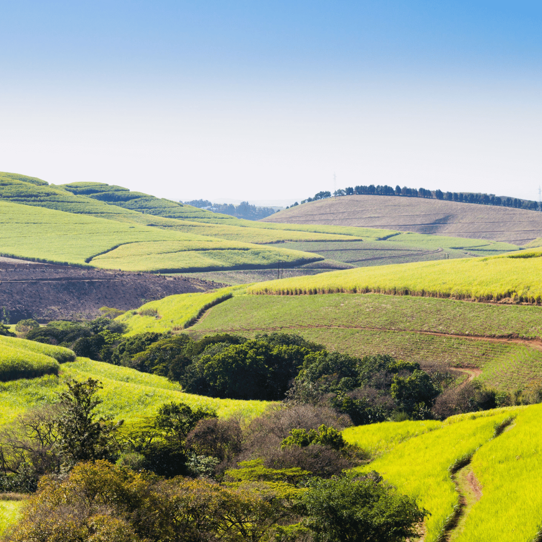 Kairos CF Website 6 (10)